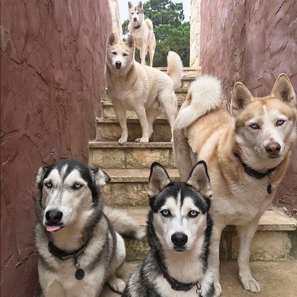 Meet your Posher, Gabriela - Picture 6 of 9